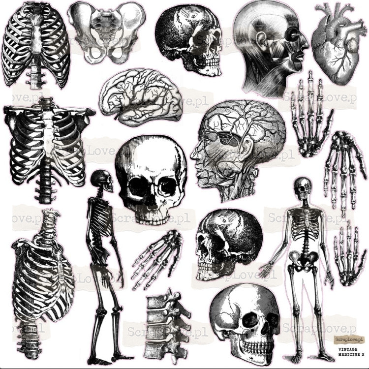 Screenshot at Apr 21 20-50-24.jpeg