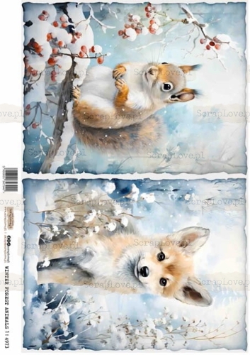winter forest animals 1-1 Średni.jpeg