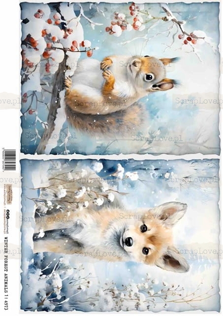 winter forest animals 1-1 Średni.jpeg