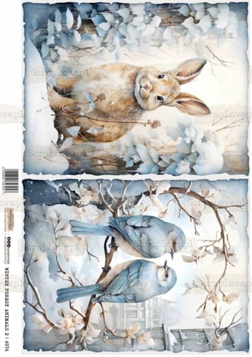 winter forest animals 2-1 Średni.jpeg