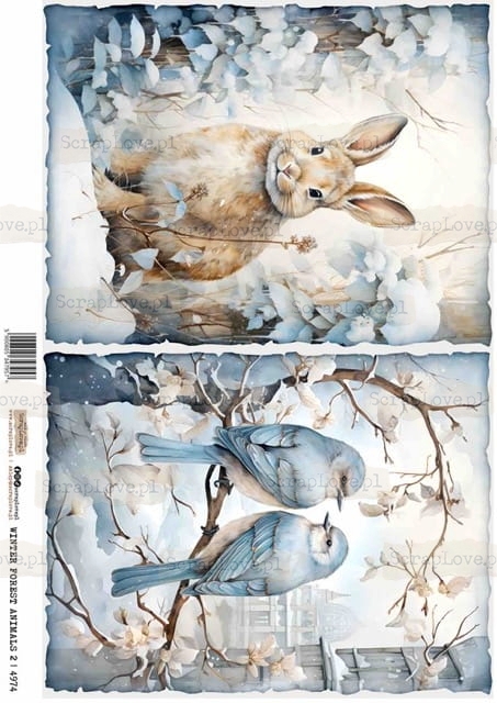 winter forest animals 2-1 Średni.jpeg