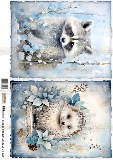 winter forest animals 3-1 Średni.jpeg