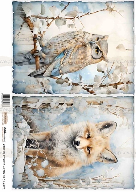 winter forest animals 5-1 Średni.jpeg