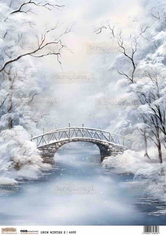 SNOW WINTER 2-1 Duży.jpeg