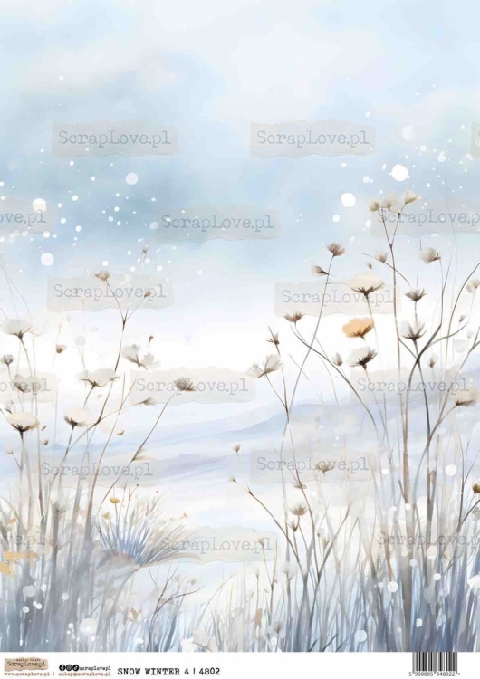 SNOW WINTER 4-1 Duży.jpeg