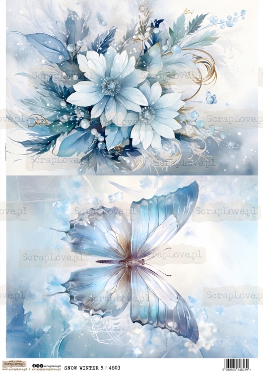 SNOW WINTER 5-1 Duży.jpeg