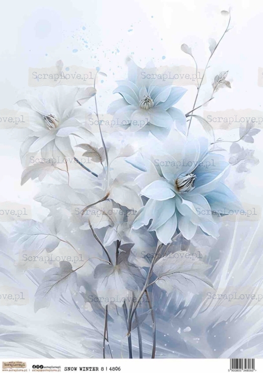 SNOW WINTER 8-1 Duży.jpeg
