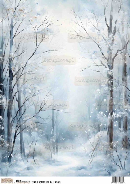 SNOW WINTER 10-1 Duży.jpeg