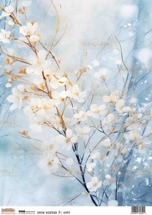 SNOW WINTER 11-1 Duży.jpeg