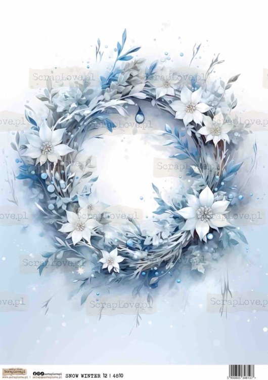 SNOW WINTER 12-1 Duży.jpeg