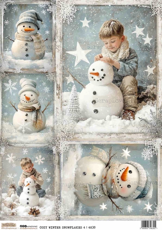 COZY WINTER SNOWFLAKES 4-1 Duży.jpeg