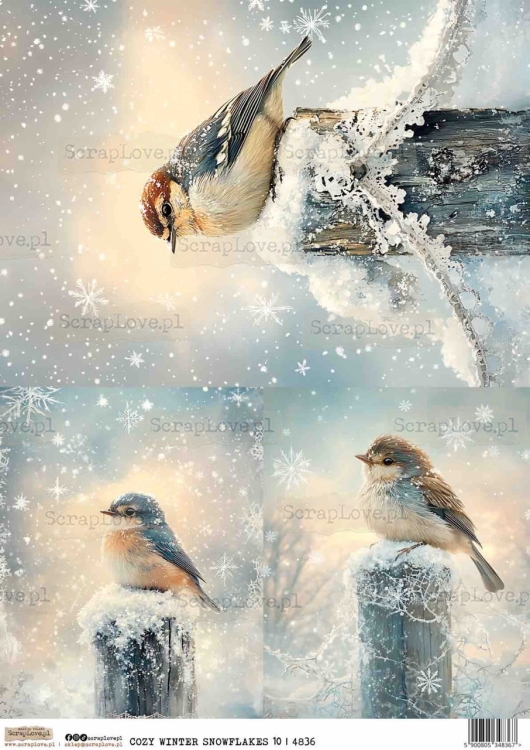 COZY WINTER SNOWFLAKES 10-1 Duży.jpeg