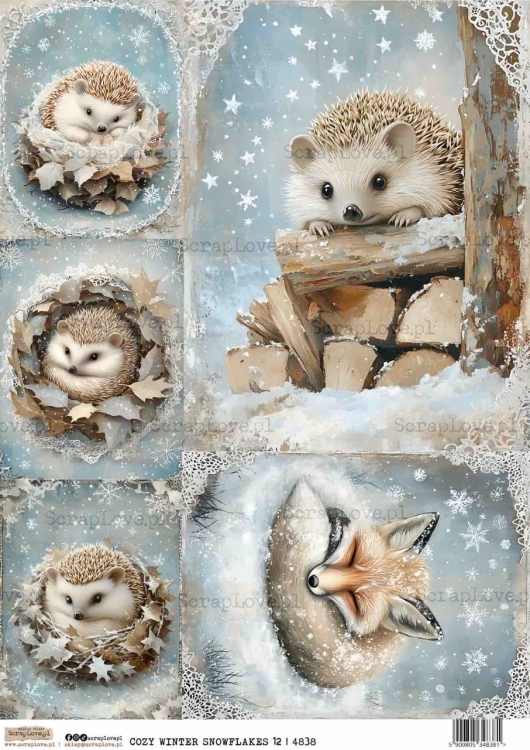 COZY WINTER SNOWFLAKES 12-1 Duży.jpeg