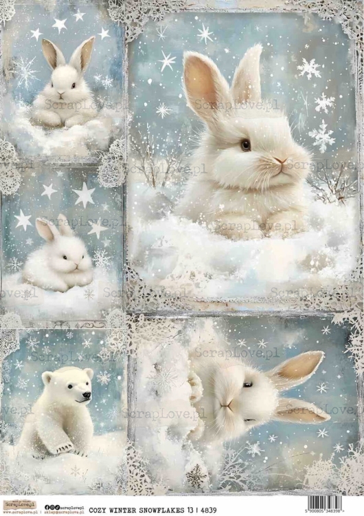 COZY WINTER SNOWFLAKES 13-1 Duży.jpeg