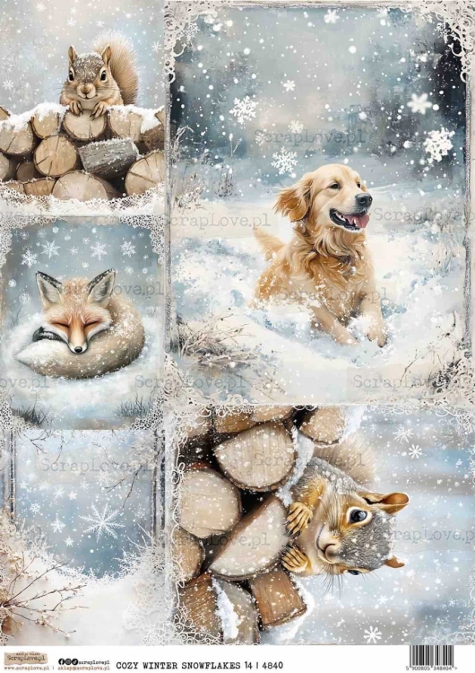 COZY WINTER SNOWFLAKES 14-1 Duży.jpeg