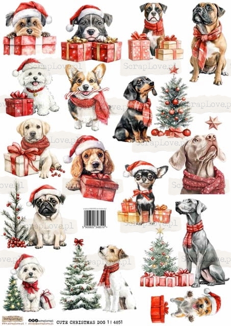 cute christmas dog 1-1 Średni.jpeg
