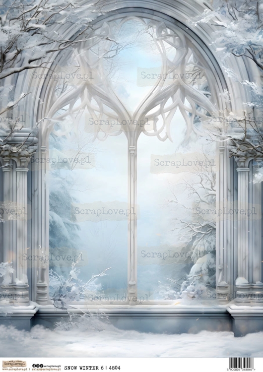 SNOW WINTER 6-1 Duży.jpeg