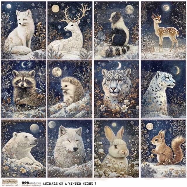 ANIMALS ON A WINTER NIGNT 1-1 Średni.jpeg