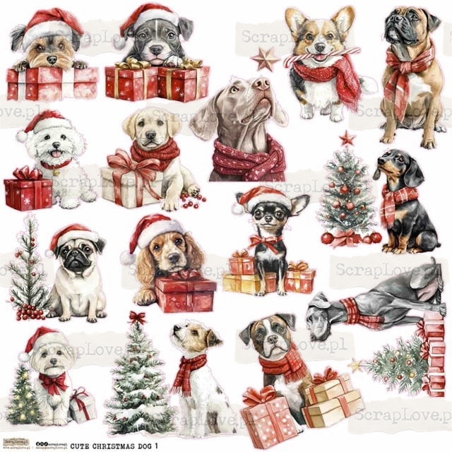 cute christmas dog 1-1 Średni.jpeg