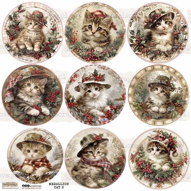 medallion cat 2-1 Średni.jpeg