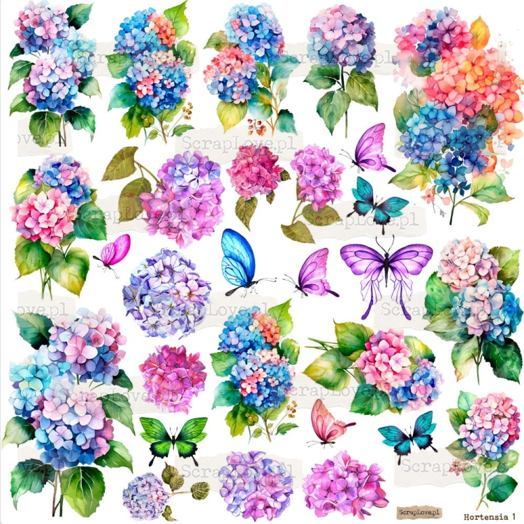 Screenshot at Apr 24 12-56-47.jpeg