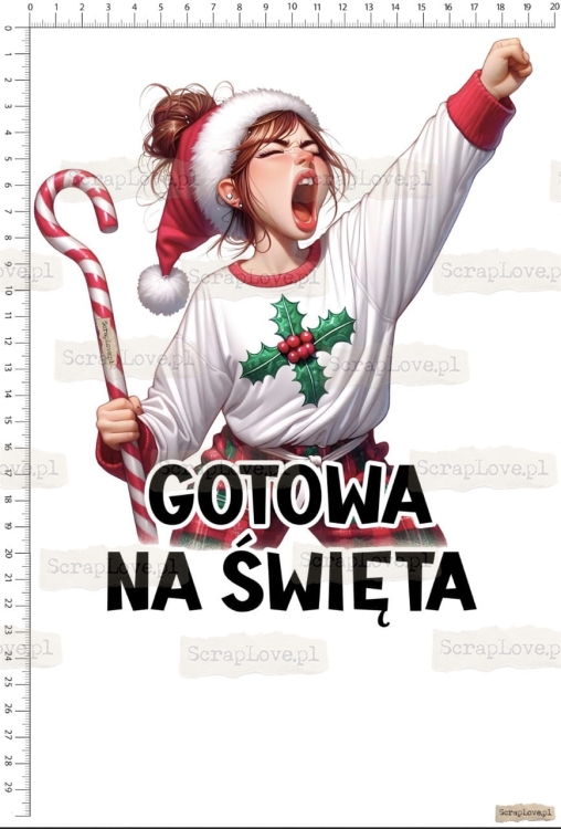 gotowa na święta 1 Duży.jpeg