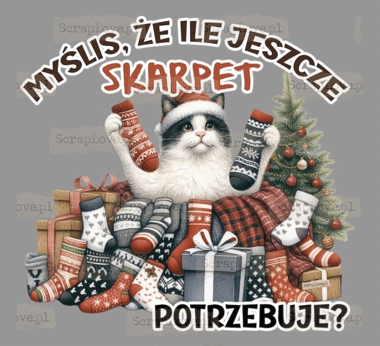 ile skarpet jeszcze - kot Duży.jpeg