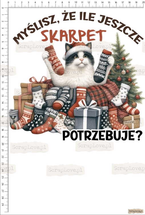 ile skarpet jeszcze - kot 1 Duży.jpeg