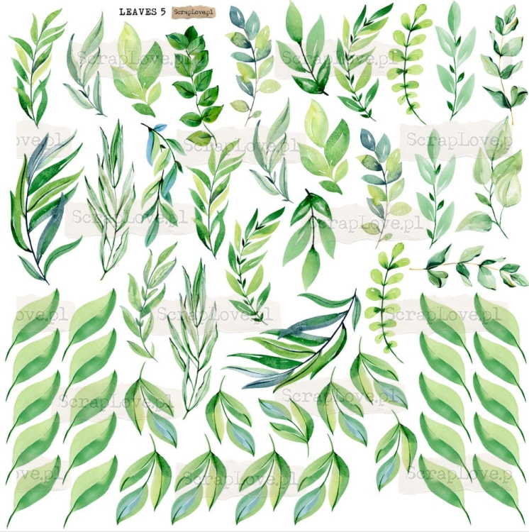 Screenshot at Apr 25 11-05-00.jpeg