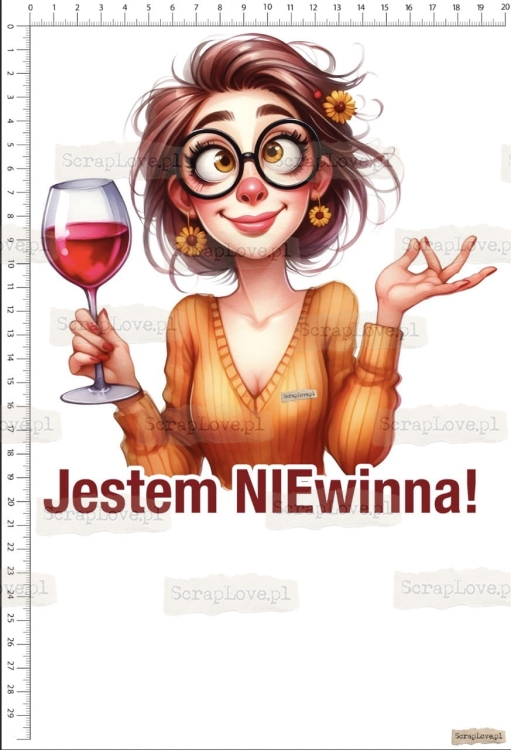 jestem niewinna 1 Duży.jpeg