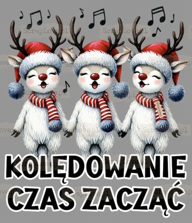 kolędowanie czas zacząć Duży.jpeg