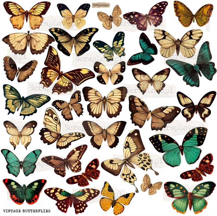 Screenshot at Apr 25 11-05-39.jpeg