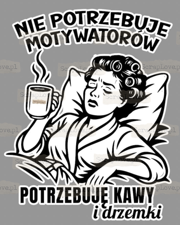 nie potrzebuje motywatorow Duży.jpeg