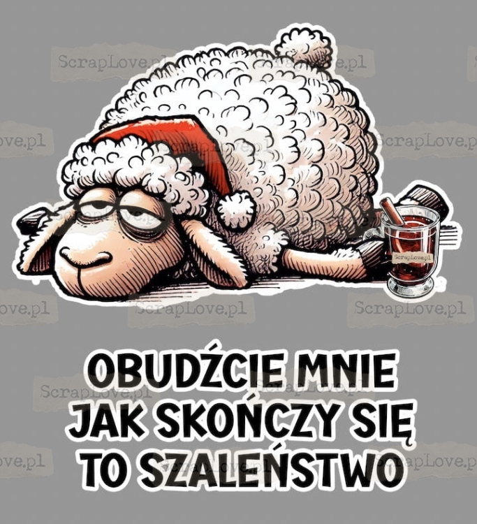 obudźcie mnie jak skończy sie to szalenstwo Duży.jpeg