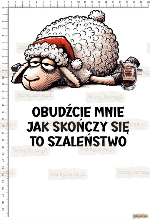 obudźcie mnie jak skończy sie to szalenstwo 1 Duży.jpeg