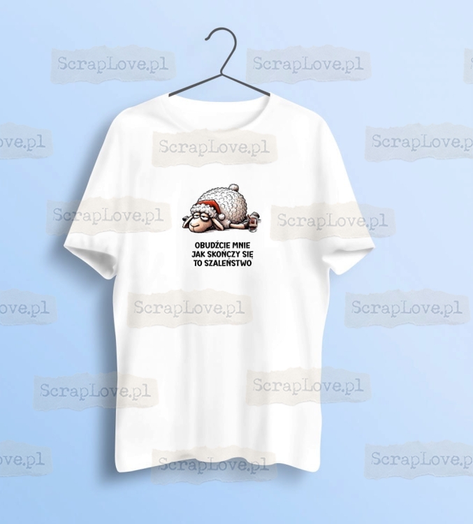 obudźcie mnie jak skończy sie to szalenstwo 2 Duży.jpeg