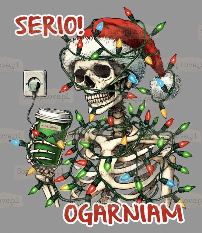 serio ogarniam - szkielet Duży.jpeg