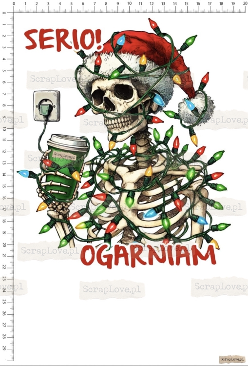 serio ogarniam - szkielet 1 Duży.jpeg