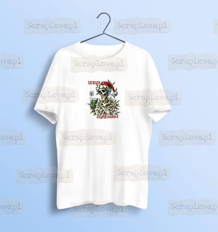 serio ogarniam - szkielet 2 Duży.jpeg