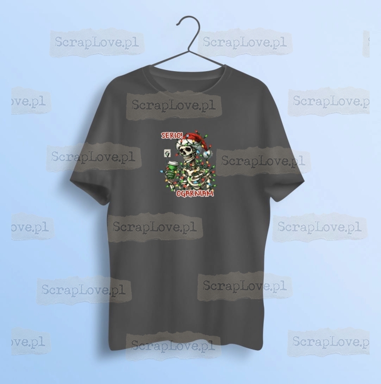 serio ogarniam - szkielet 3 Duży.jpeg