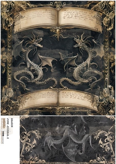 dragon junk j 2-1 Średni.jpeg