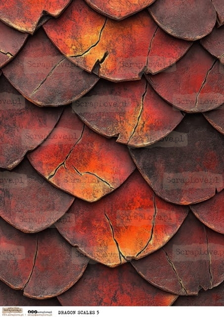 dragon scales 5-1 Średni.jpeg