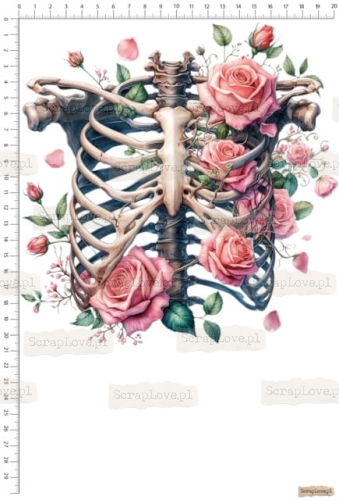 WZÓR N0058 Średni.jpeg