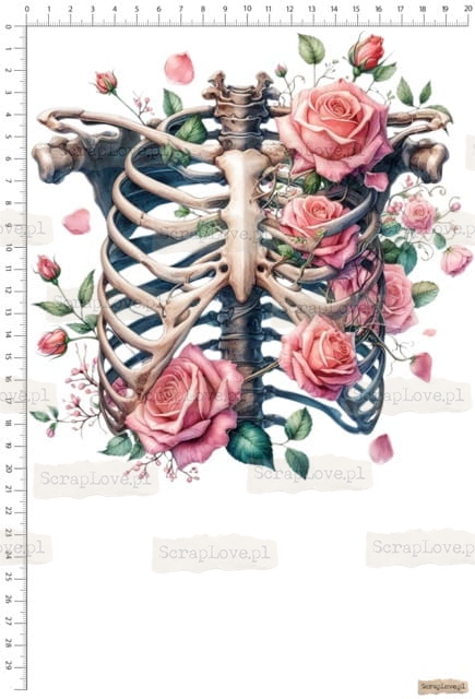 WZÓR N0058 Średni.jpeg