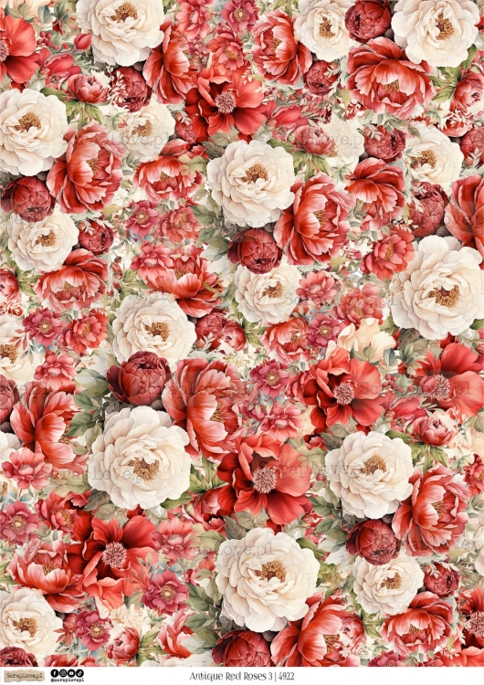Antique red roses 3 - 4922-1.jpg