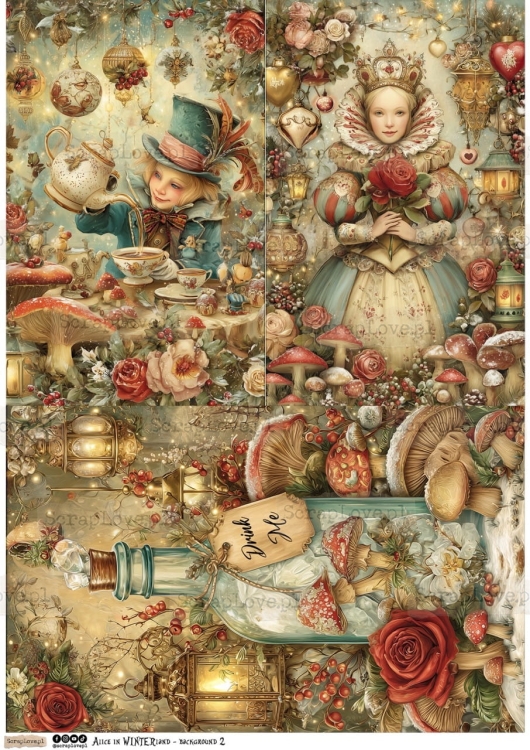 alice in WINTERland - background 2-1 Duży.jpeg