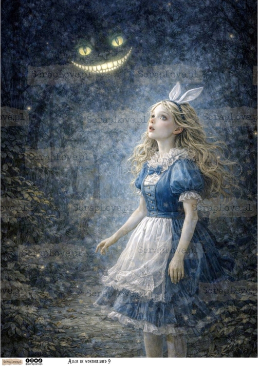 alice in wonderland 9-1 Duży.jpeg