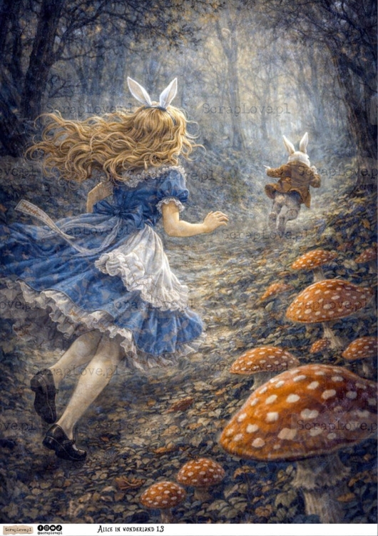 alice in wonderland 13-1 Duży.jpeg