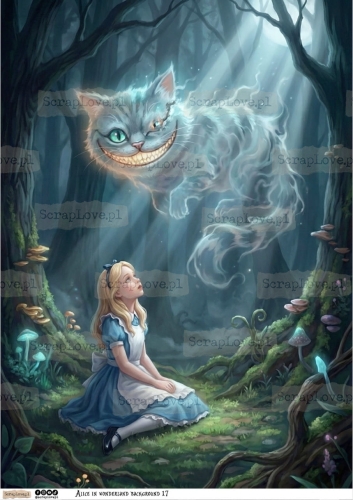 alice in wonderland 17-1 Duży.jpeg