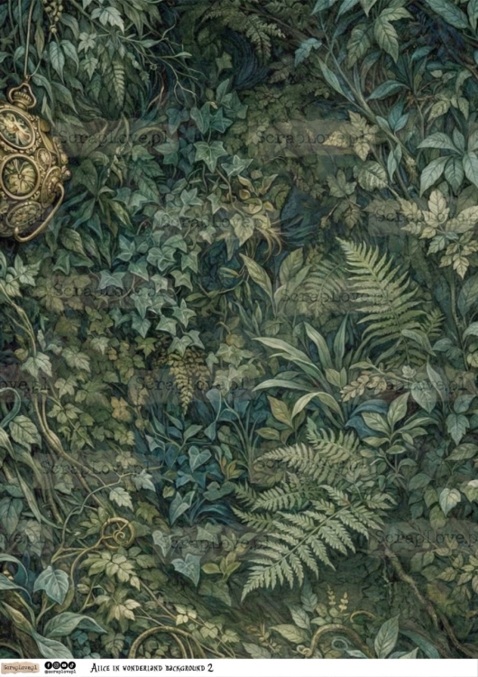 alice in wonderland background 2-1 Duży.jpeg